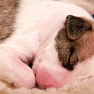 Meet your Posher, Theresa